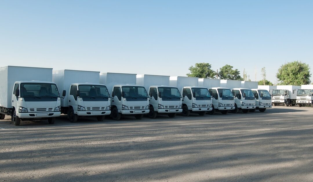 A row of white cargo vehicles lined up neatly in a parking lot. The trucks are parked under a bright blue sky.