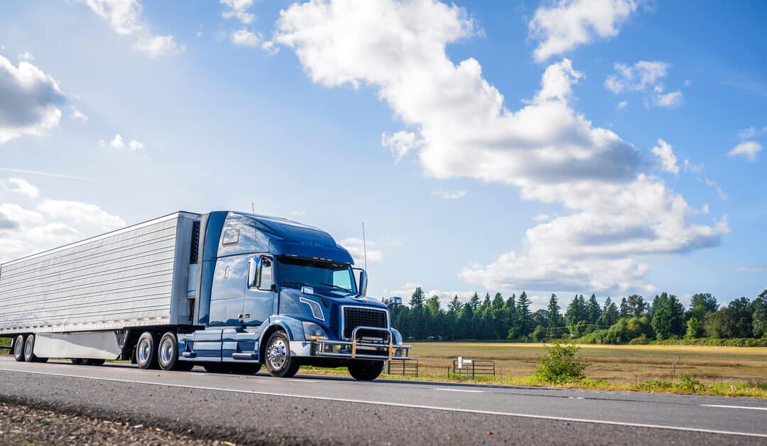 A blue semi-trailer truck cargo on the road next to a field with rows of pine trees underneath a bright, clear sky.