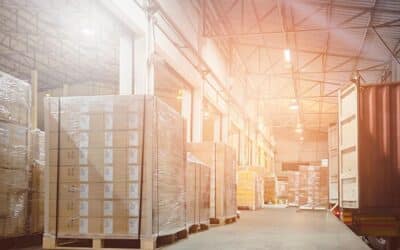 Exploring the Different Types of Storage Containers